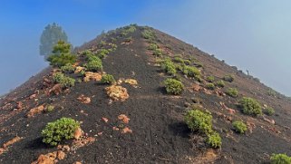 Pico Birigoyo 1807 m - La Palma La Palma 2024